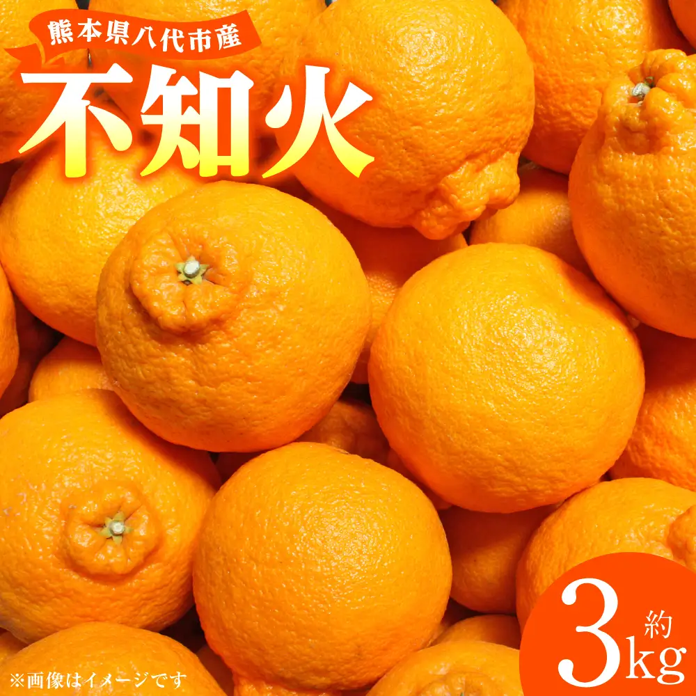 【先行予約】 不知火 約3kg しらぬい 柑橘  【2027年1月中旬より順次発送】