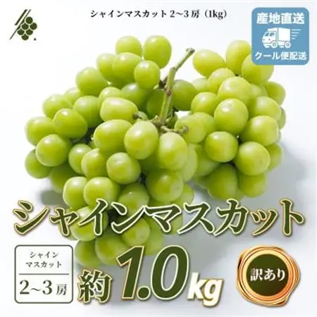 シャインマスカット 2～3房 計1kg 訳あり ご家庭用【配送不可地域：離島・沖縄県】【1729248】