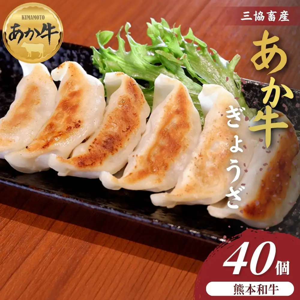 【三協畜産】熊本和牛あか牛ぎょうざ 40個 和牛 国産牛 お取り寄せ ご当地 高級 贅沢 ジューシー餃子 冷凍 あか牛 熊本県産 濃厚肉汁 焼くだけ簡単 熊本県 阿蘇市