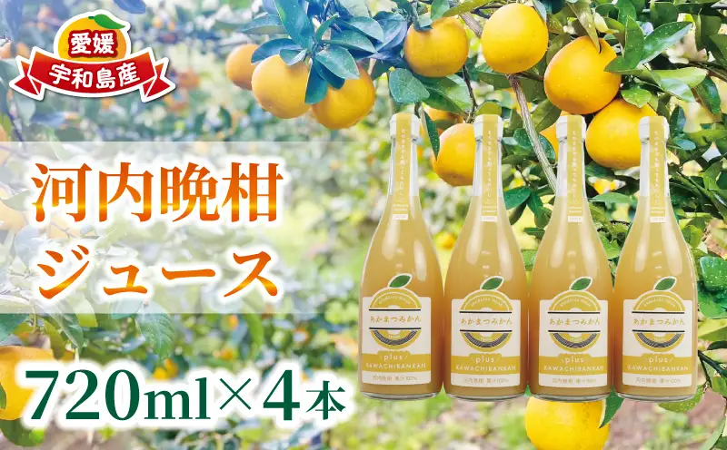 河内晩柑 ジュース 720ml × 4本 セット あかまつみかん ストレートジュース 愛媛 の 柑橘ジュース みかんジュース みかん 蜜柑 mikan フルーツジュース 果汁 100% 飲料 柑橘 ギフト 贈答用 果物 くだもの フルーツ 国産 愛媛 宇和島 H018-203003