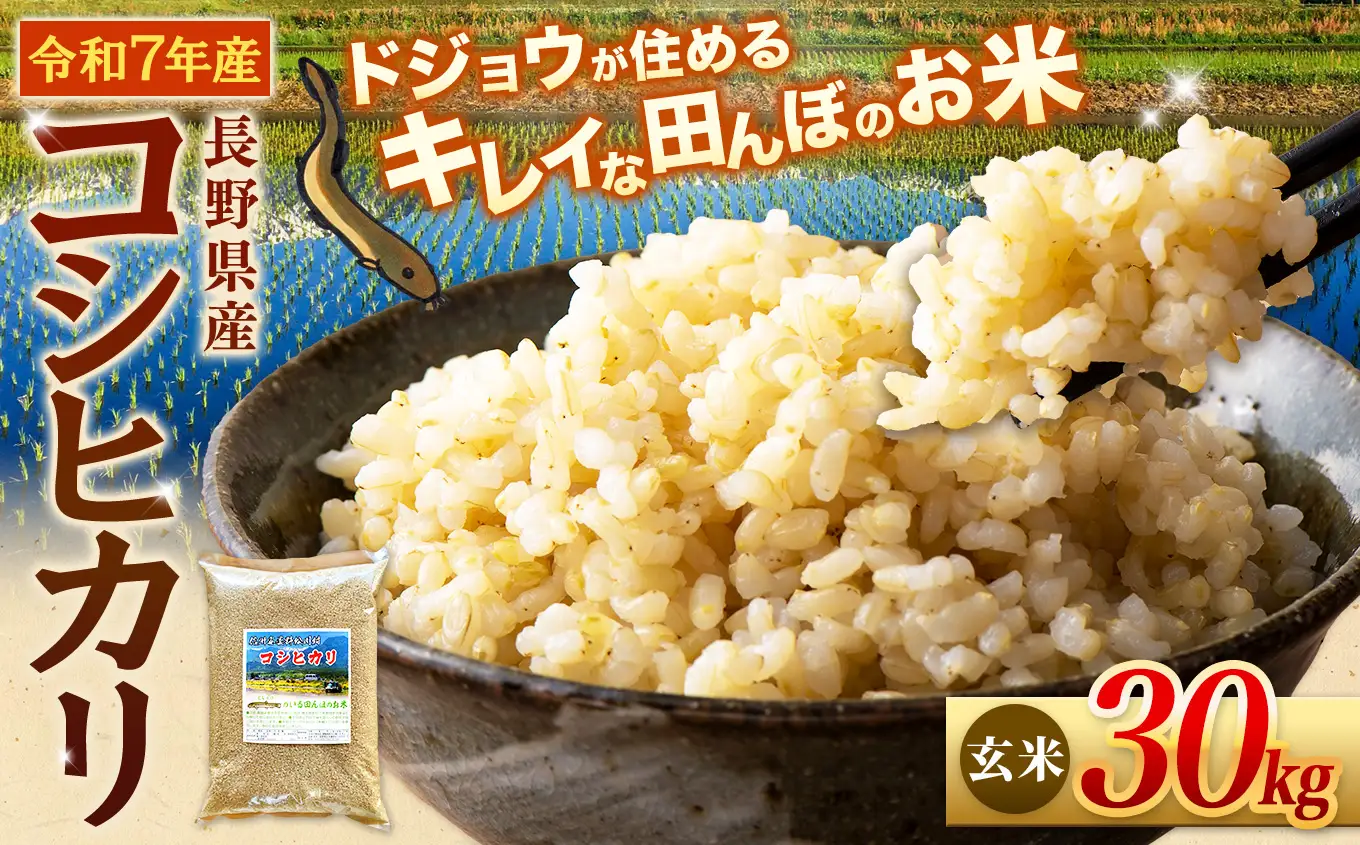 松川村 コシヒカリ 玄米 30kg