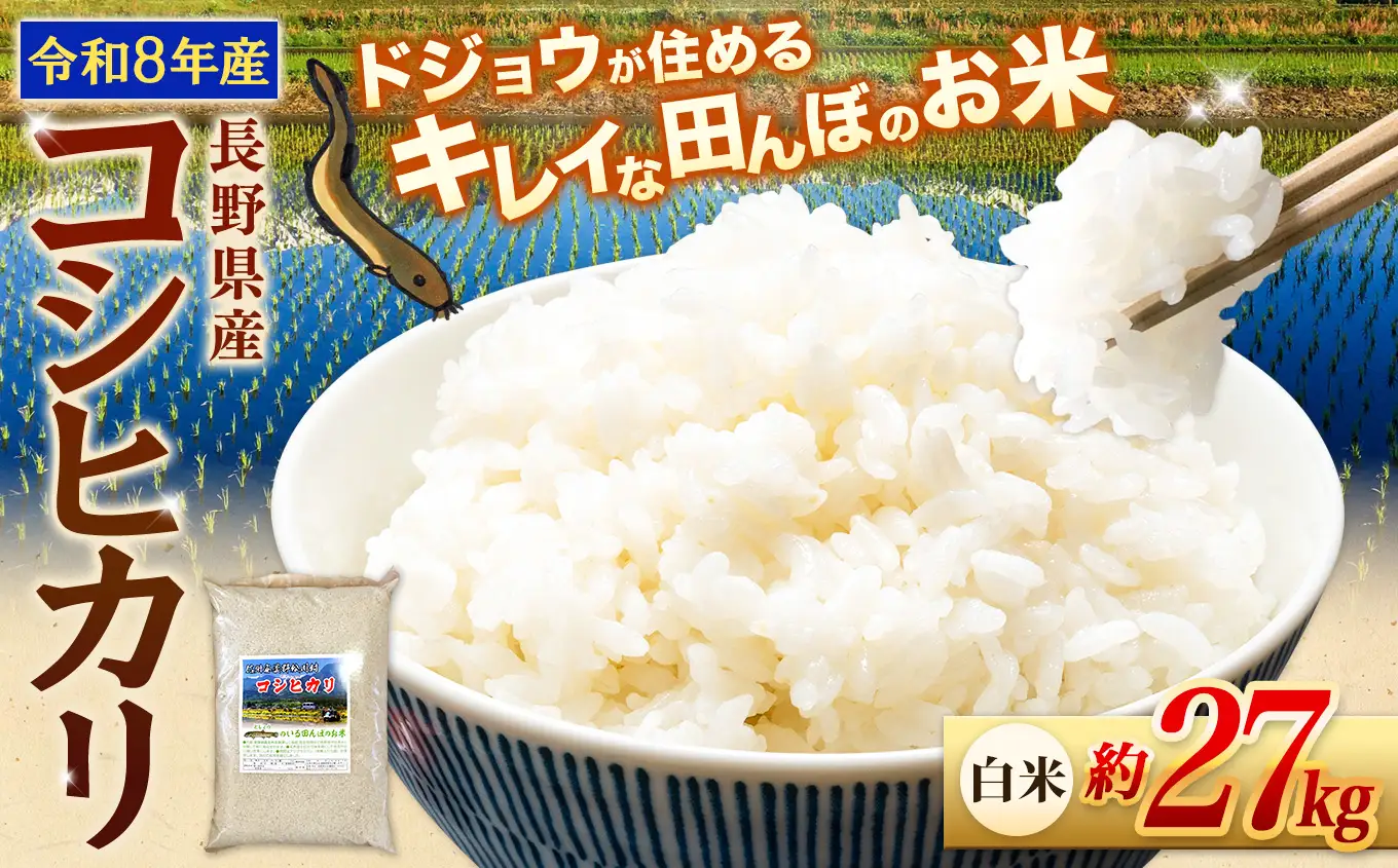 【令和8年産先行予約】『どじょうのいる田んぼのお米』コシヒカリ 白米 約27kg | 馬場農園
