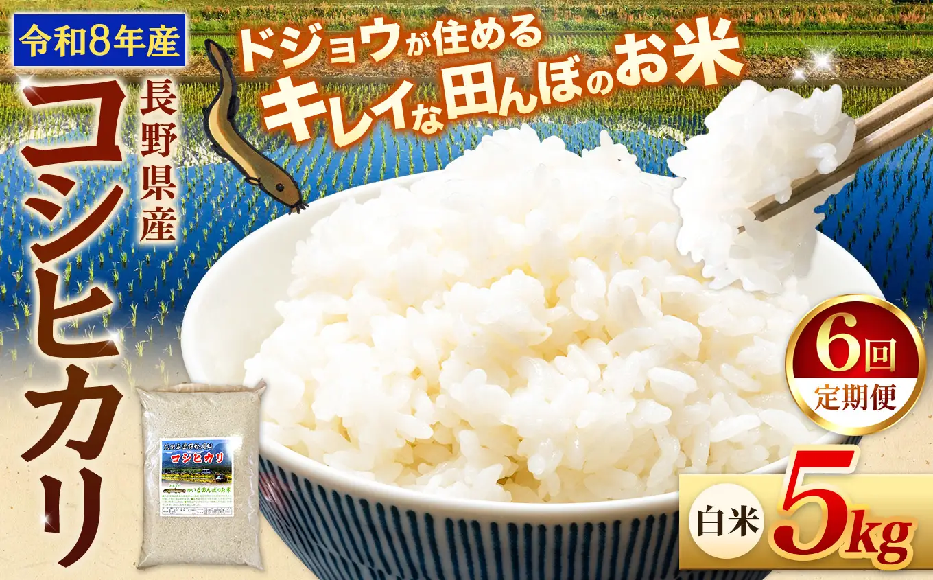 【令和8年産先行予約】【定期便6回】『どじょうのいる田んぼのお米』コシヒカリ 白米 5kg | 馬場農園