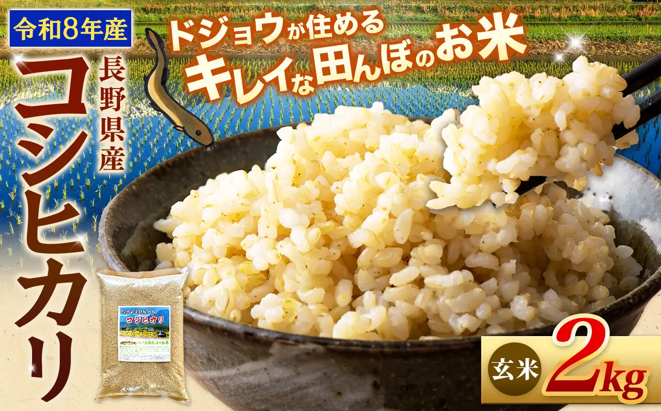 【令和8年産先行予約】『どじょうのいる田んぼのお米』コシヒカリ 玄米 2kg | 馬場農園