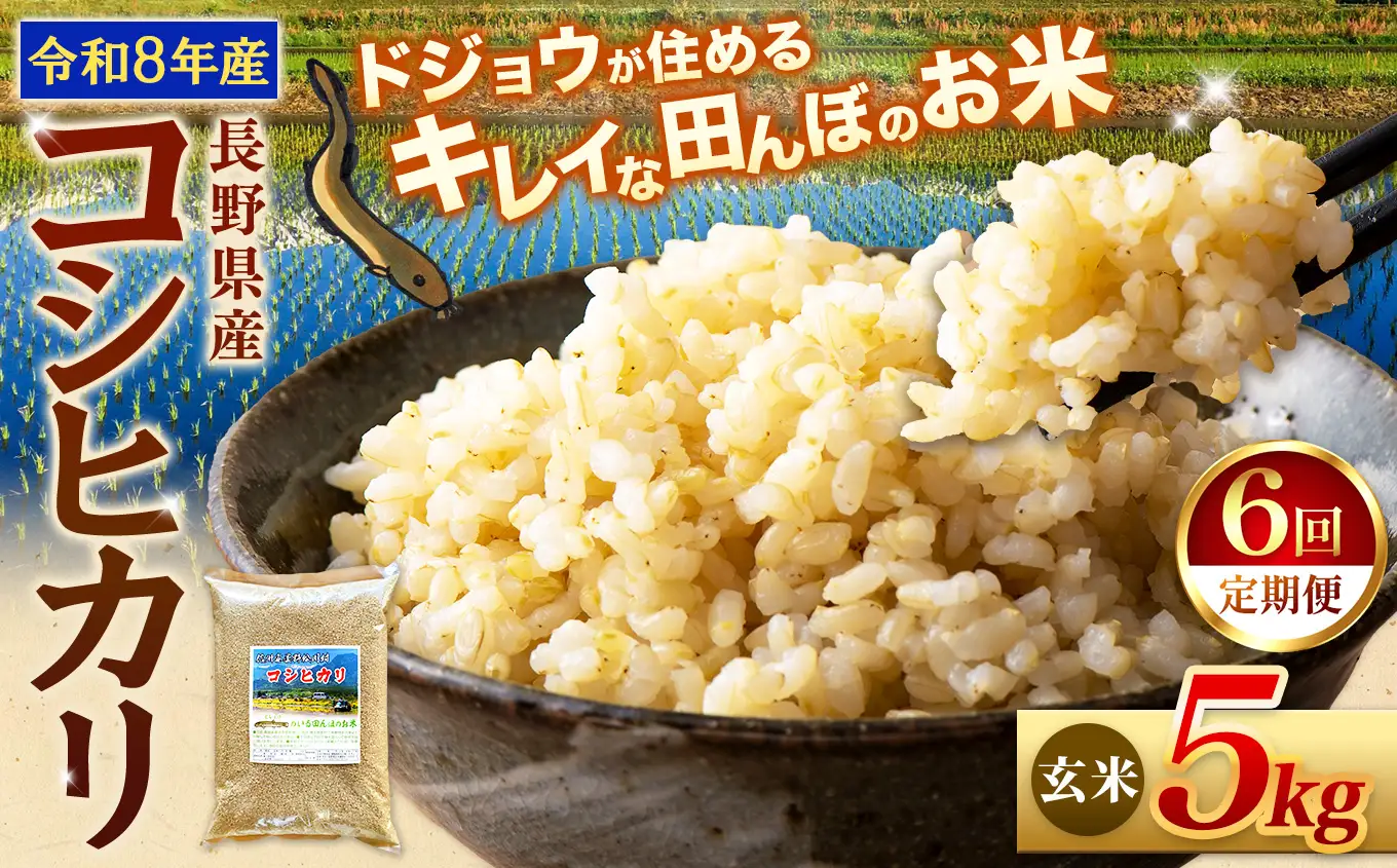 【令和8年産先行予約】【定期便6回】『どじょうのいる田んぼのお米』コシヒカリ 玄米 5kg | 馬場農園