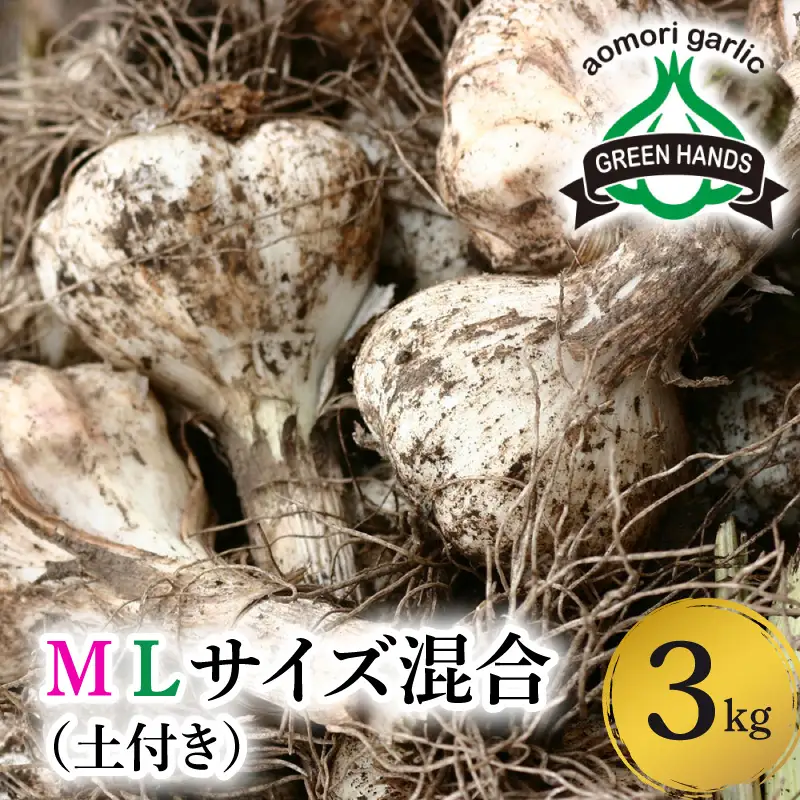 にんにく　生にんにく3kgＭＬサイズ混合土つき2026年6月下旬～発送