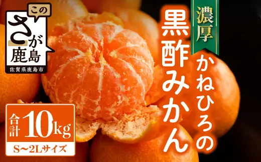 かねひろの黒酢みかん【10kg S～2L サイズ別】先行予約《11月下旬～1月上旬頃発送予定》温州みかん ふるさと納税 みかん 10kg 大容量 フルーツ 甘い ジューシー 果物 蜜柑 お取り寄せ 農家直送 国産 九州 佐賀県 鹿島市 送料無料 B-911