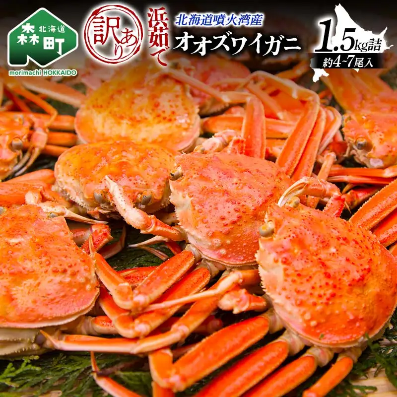 【訳あり】浜茹でオオズワイガニ 1.5kg 詰め込みセット 北海道噴火湾産 ＜道産ネットミツハシ＞ かに カニ 蟹 がに 北海道 森町 ふるさと納税 mr1-1381