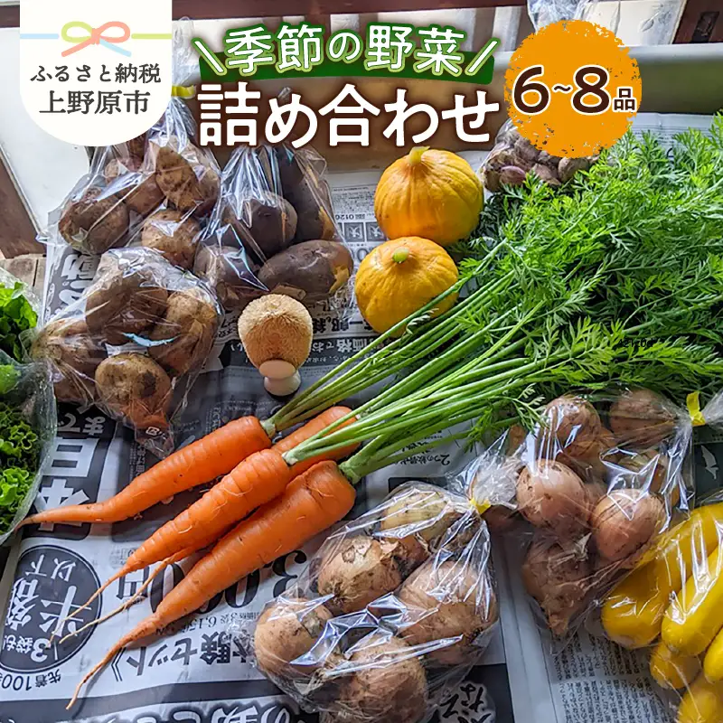 ★2026年先行予約★【関東甲信越エリア限定】季節の野菜詰め合わせ（6～8品）