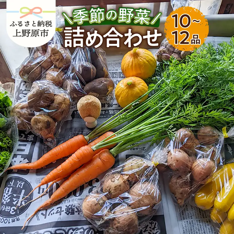 ★2026年先行予約★【関東甲信越エリア限定】季節の野菜詰め合わせ（10～12品）