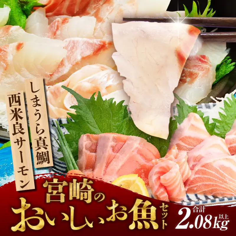 宮崎のおいしいお魚セット