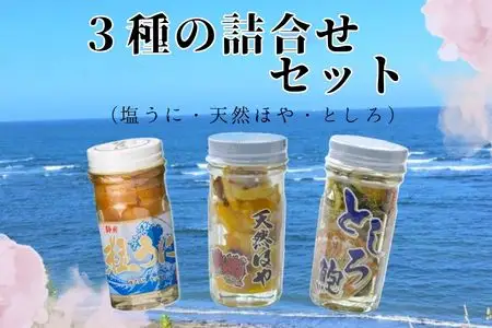 3種詰め合わせセット（塩うに・天然ほや・としろ）