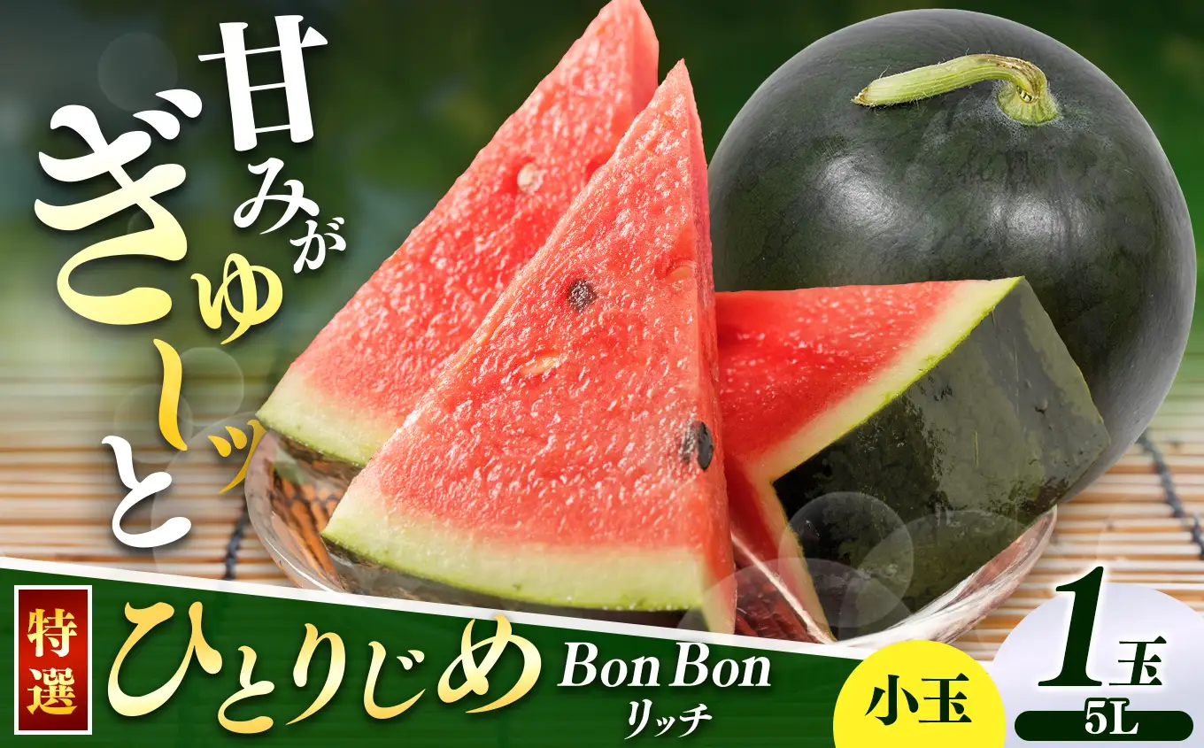 【先行受付】松本市 波田産 小玉すいか ひとりじめBonBonリッチ 5L特選プレミアム(約3.9kg以上)1玉