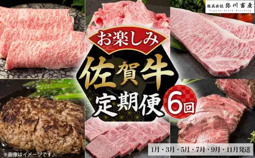 T3x1 佐賀牛 お楽しみ便 6回コース 定期便 絶品と評判のハンバーグ付き！ 6回 しゃぶしゃぶ すき焼き 切落し ロースステーキ ハンバーグ 焼肉 ローストビーフ ロース 国産牛 和牛 ブランド牛 牛肉 肉 高級 人気 おすすめ 佐賀県 太良町