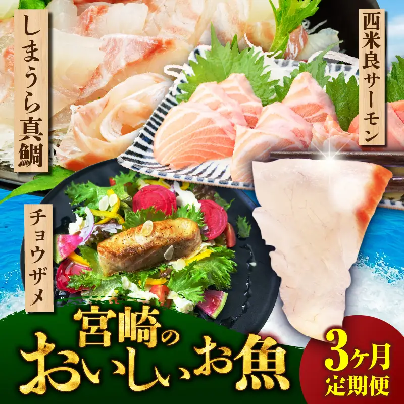 宮崎のおいしいお魚 3ヶ月定期便