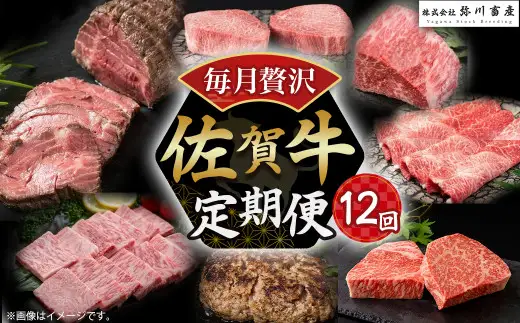 W1x1 佐賀牛 毎月贅沢便 12回コース 定期便 12ヶ月 しゃぶしゃぶ すき焼き ローストビーフ ロースステーキ カルビ焼肉 ハンバーグ モモステーキ ウデブロック ロース カルビ モモ ウデ ステーキ 焼肉 ブロック 国産牛 和牛 ブランド牛 牛肉 肉 高級 人気 おすすめ 佐賀県 太良町 