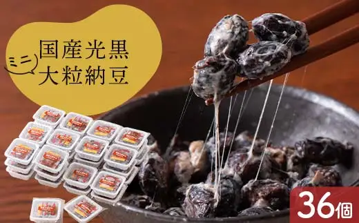 国産光黒大粒納豆ミニパック36個 納豆 発酵食品 大豆食品 ご飯のお供 納豆 加工品 食品 栃木県 足利市  F7Z-1824