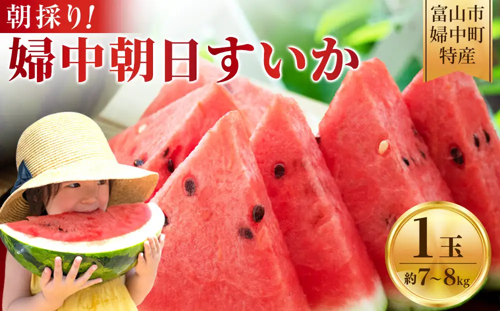 【先行予約】 朝採り！ 富山市婦中町特産「朝日すいか」１玉(約７～８kg)【2026年7月頃〜8月中旬頃まで順次発送】　産地直送 大玉