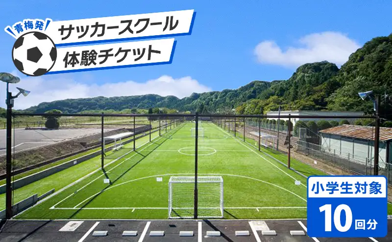 【寄付前にお問い合わせお願いいたします】次のステージを目指す選手へ。小学生対象 青梅発のサッカースクール 体験チケット (10回分)