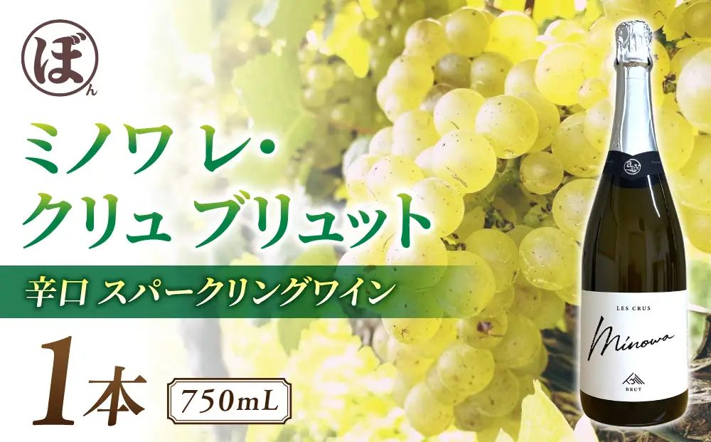 スパークリングワイン「ミノワ レ・クリュ・ブリュット」 1 本| 国産 長野県 長野ワイン とうみワイン【ぼんじゅーる農園醸造所】