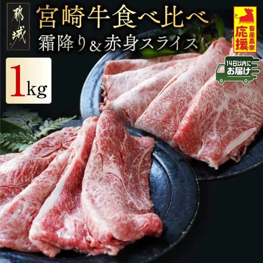 畜産農家応援! 宮崎牛スライス2種1kgセット(霜降り400g 赤身600g)≪みやこんじょ快速便≫〔19-N2-001-1kg-S4A6-R〕