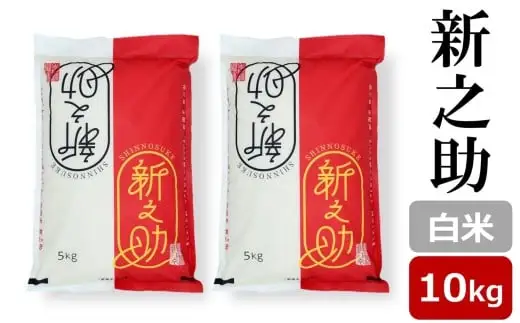 【令和7年産米】新之助 白米 10kg（5kg×2袋） 新潟米 しんのすけ[Y0600]