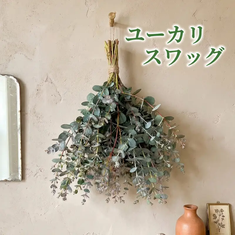 フレッシュ グニユーカリ スワッグ / 約30cm 約30本 | 【2026年9月上旬頃より順次発送予定】ユーカリ ゆーかり 【KNN009】
