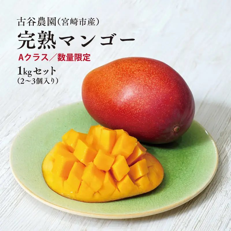 マンゴー 完熟 マンゴー[宮崎 Aクラス 古谷農園 約1kg 2~3玉]