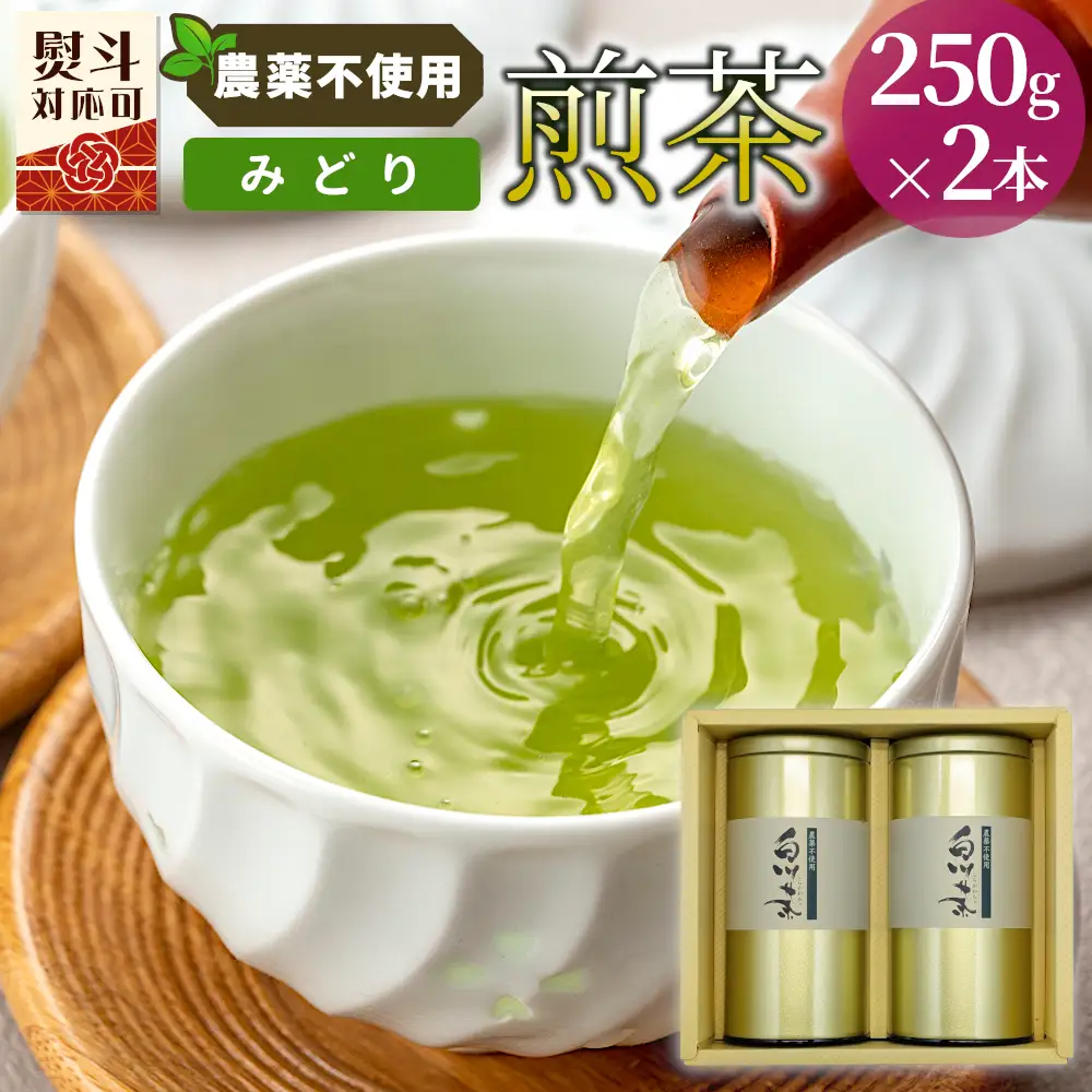 農薬不使用！煎茶 ギフト NO.4 (みどり250g×2 計500g) 常磐園 日本茶 緑茶 お茶 茶葉 岐阜県 東白川村 お取り寄せ 贈答用 プレゼント 母の日