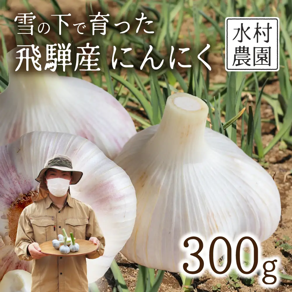 飛騨産 にんにく 300g ニンニク【7月中旬から12月発送】水村農園