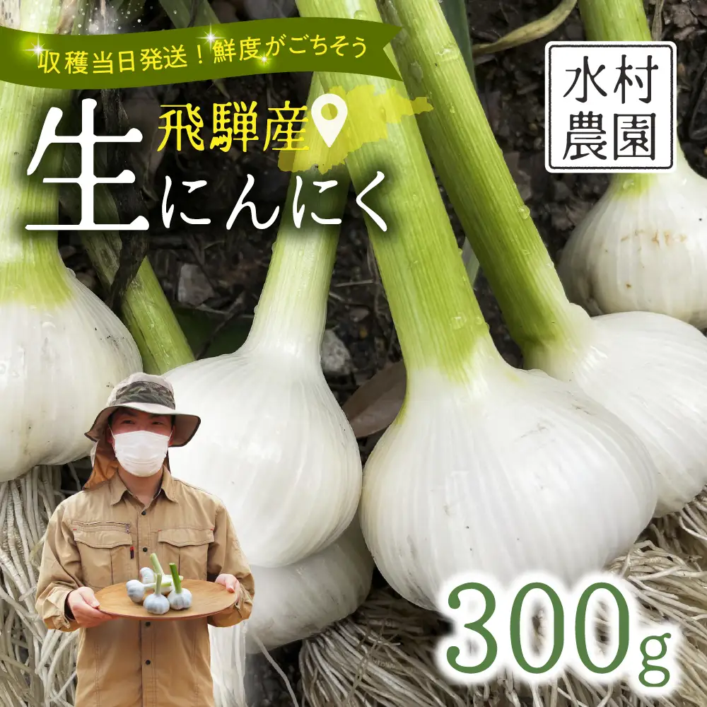 飛騨産生にんにく 300g 水村農園 にんにく