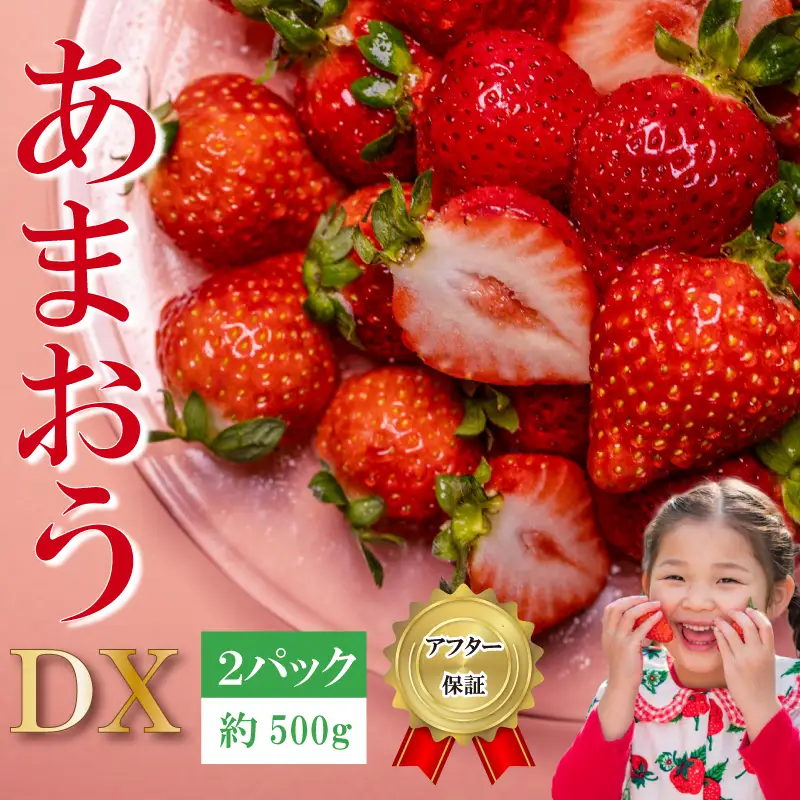 【2026年12月発送】先行予約 福岡県産 いちご あまおう  約250g×2P (約500g) ｜苺 イチゴ KBY