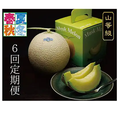 【6ヶ月定期便】クラウンメロン（山等級）1玉入 