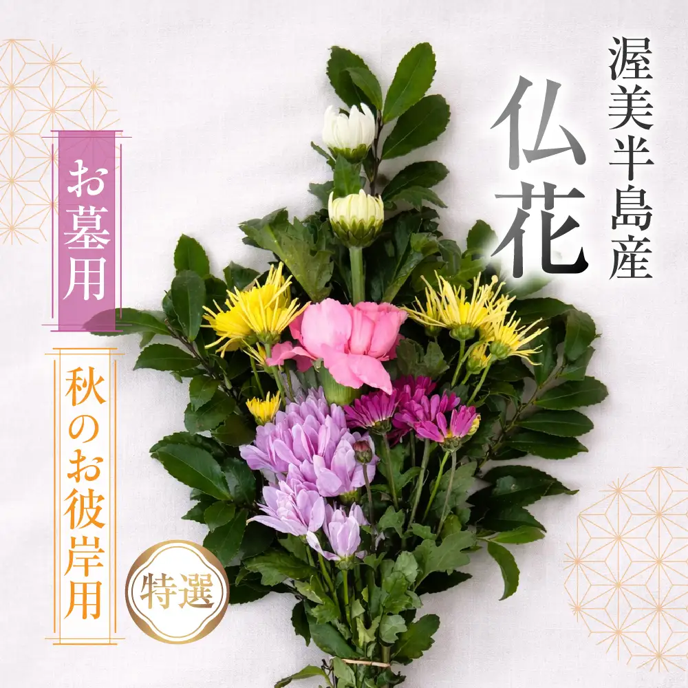 【お彼岸用　秋】産地直送 《お墓用》 仏花 特選 日時指定可 生産額 日本一 田原市 渥美半島 お彼岸 鮮度 生花 お花 お墓まいり
