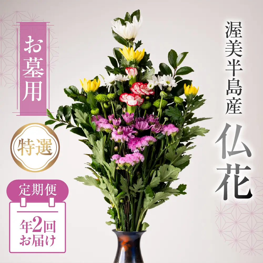 【定期便　年2回】産地直送 《お墓用》 仏花 特選 日時指定可 生産額 日本一 田原市 渥美半島 お彼岸 鮮度 生花 お花 定期便 お墓まいり