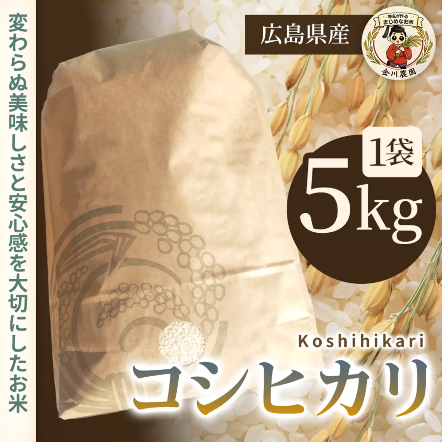コシヒカリ 5kg 米 お米 ご飯 ごはん 白米 精米 238010