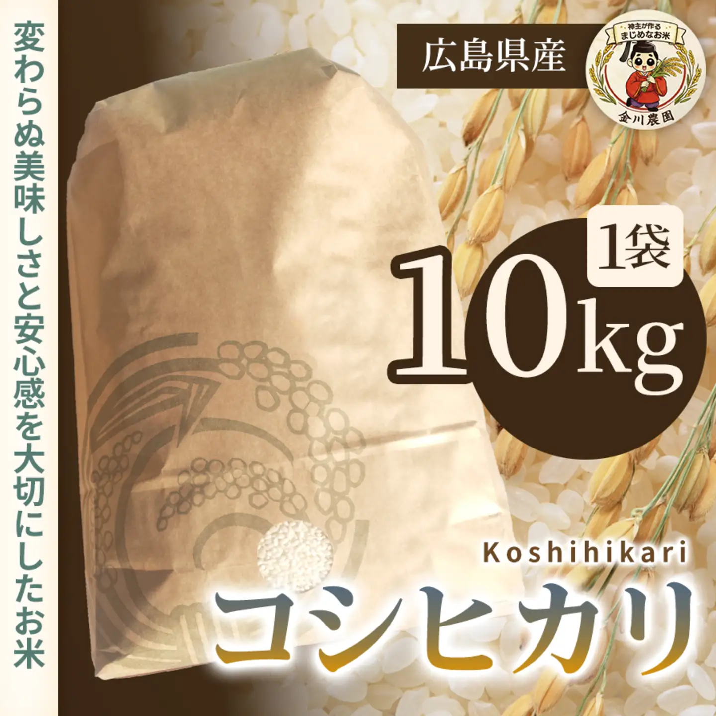 コシヒカリ 10kg 米 お米 ご飯 ごはん 白米 精米 238011