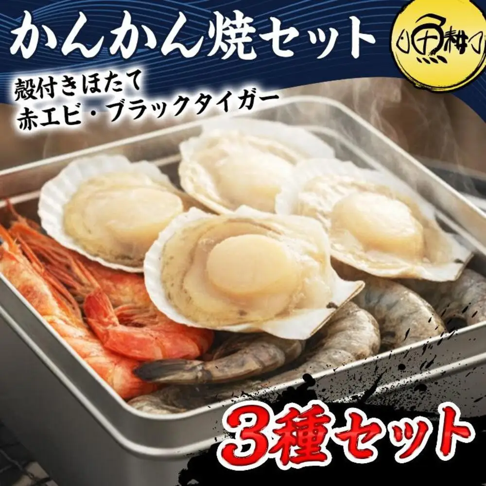 ガンガン焼き カンカン焼き 海鮮 3種 セット 殻付き ホタテ 赤エビ ブラックタイガー 海鮮バーベキューセット BBQ 海鮮セット 約4－5人前 冷凍