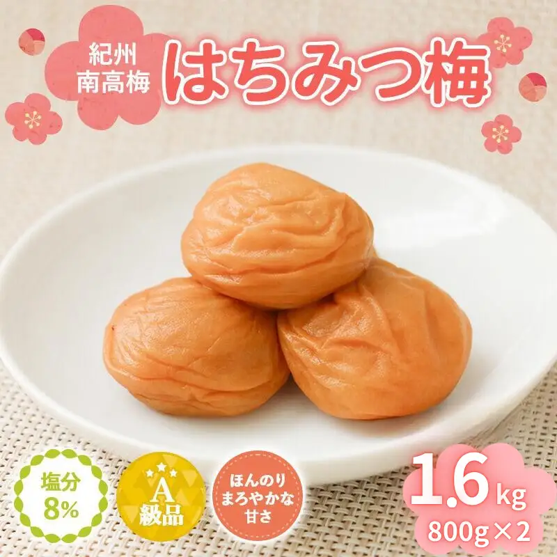 紀州南高梅　はちみつ入まろやか特選梅（塩分約8％）1.6kg （800g×2） / 田辺市 紀州南高梅 南高梅 梅干し 梅干 梅 うめ 肉厚 お米 おにぎり 焼酎 梅酒 健康 はちみつ入り はちみつ梅 和歌山県【mry025】