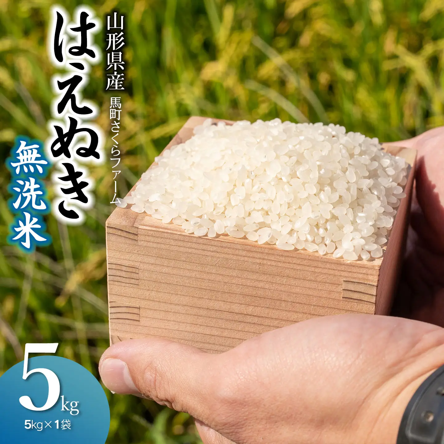 令和7年産　馬町さくらファームのはえぬき 無洗米 5kg（5kg×1袋）　山形県鶴岡市　K-730　| 米 お米 コメ こめ 5キロ ご飯 ごはん ブランド米 米どころ 庄内米 国産 美味しい おいしい お取り寄せ 農家直送 お弁当 おにぎり おすすめ 人気 返礼品