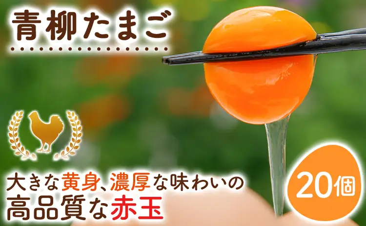 卵  青柳たまご 20個  卵 