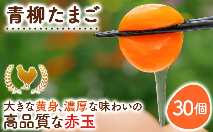 卵  青柳たまご 30個  卵 