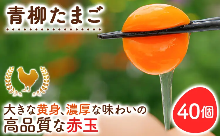 卵  青柳たまご 40個  卵 