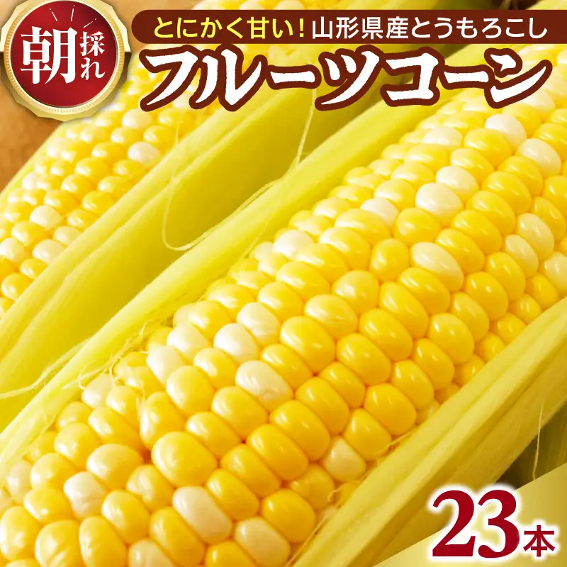 とうもろこし フルーツコーン 23本 令和8年産 とうもろこし