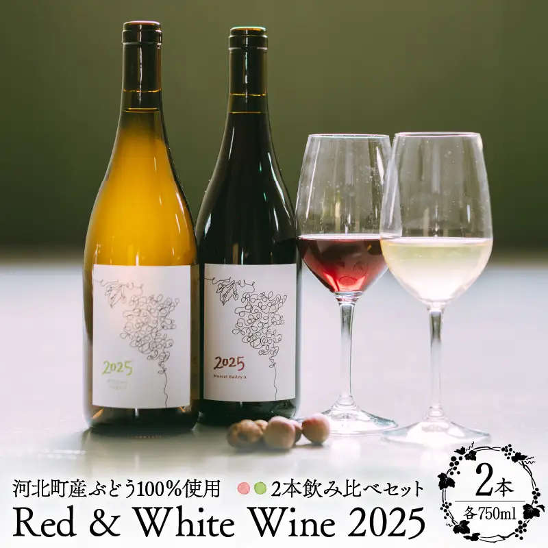 ワイン 2025 赤白 2本飲み比べセット 750ml 各1本 ワイン