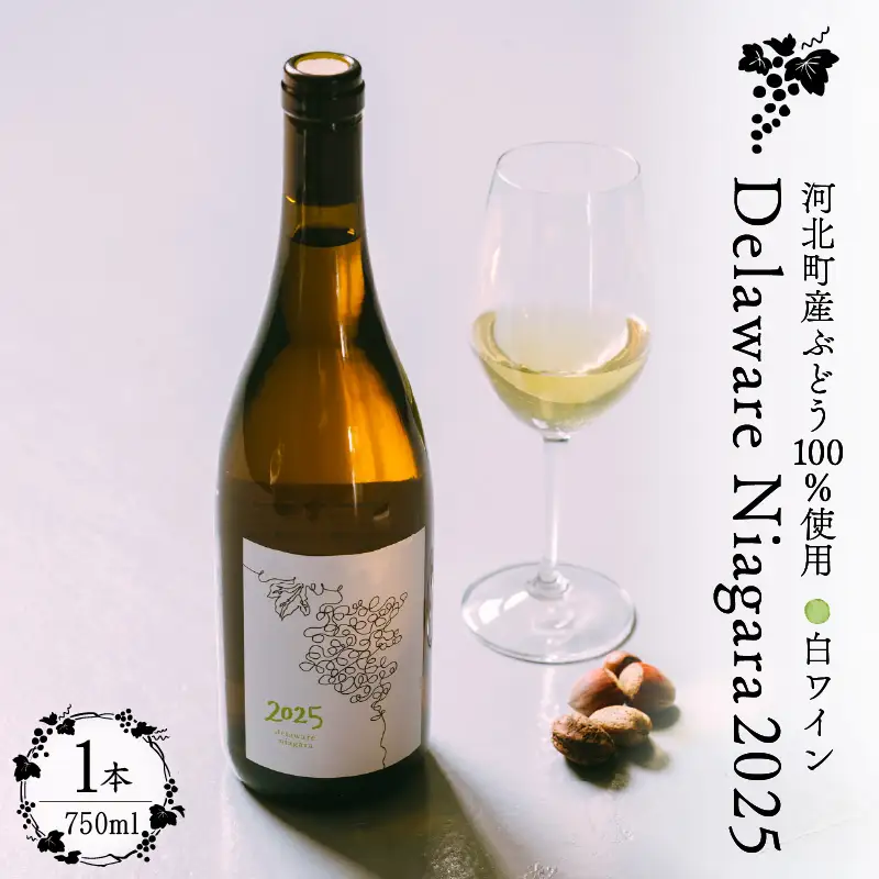 ワイン デラウェア ニアガラ 2025 750ml 河北町産 ワイン