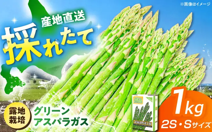【5月中旬以降順次発送】 グリーンアスパラガス 1kg（2S・S/露地）アスパラ [AJAM016]