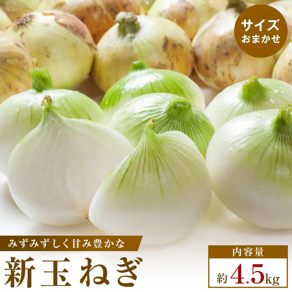 【2026年3月~5月発送】この時期にしか味わえない、みずみずしく甘み豊かな「新玉ねぎ」約4.5kg