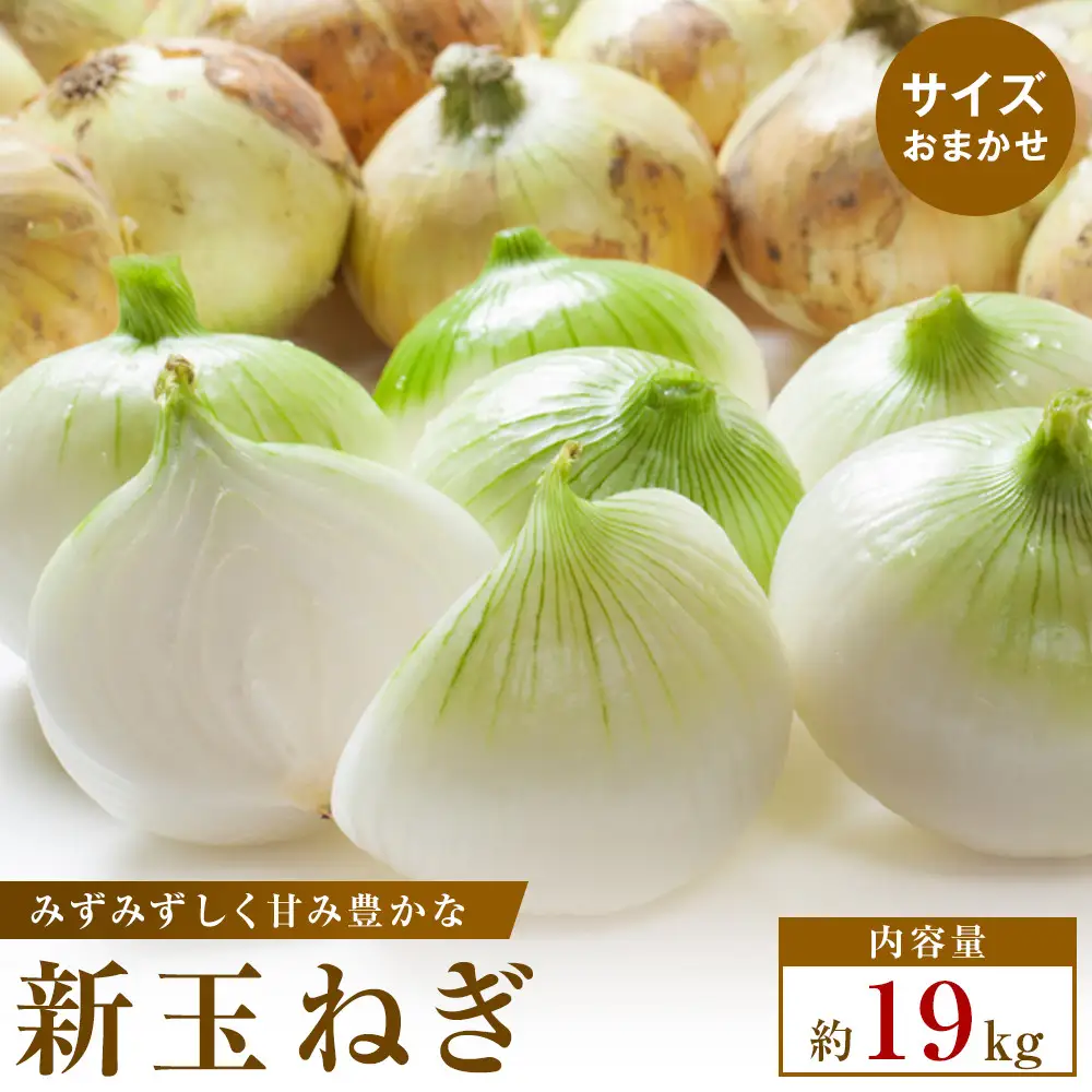 【2026年3月~5月発送】この時期にしか味わえない、みずみずしく甘み豊かな「新玉ねぎ」　約19kg
