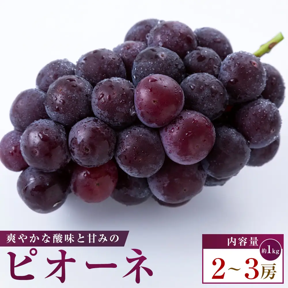 ピオーネ　約1kg(2～3房)